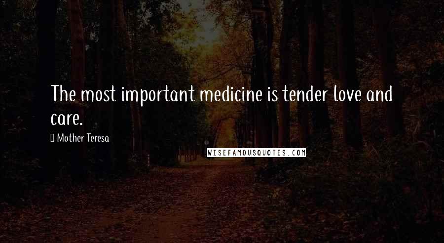 Mother Teresa Quotes: The most important medicine is tender love and care.