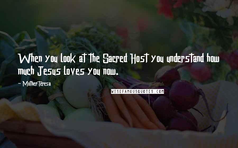 Mother Teresa Quotes: When you look at the Sacred Host you understand how much Jesus loves you now.