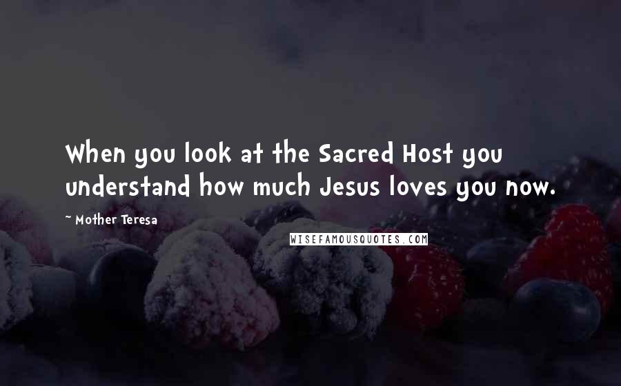 Mother Teresa Quotes: When you look at the Sacred Host you understand how much Jesus loves you now.