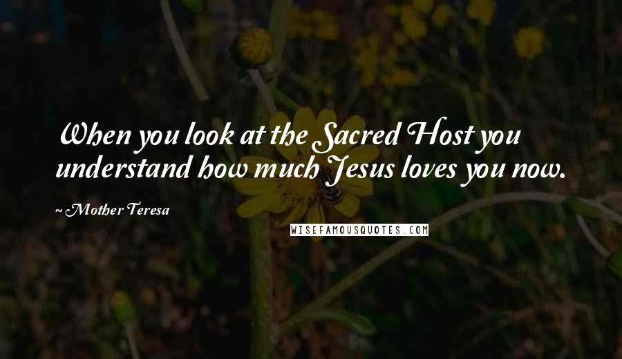 Mother Teresa Quotes: When you look at the Sacred Host you understand how much Jesus loves you now.