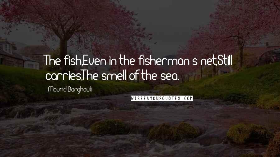 Mourid Barghouti Quotes: The fish,Even in the fisherman's net,Still carries,The smell of the sea.