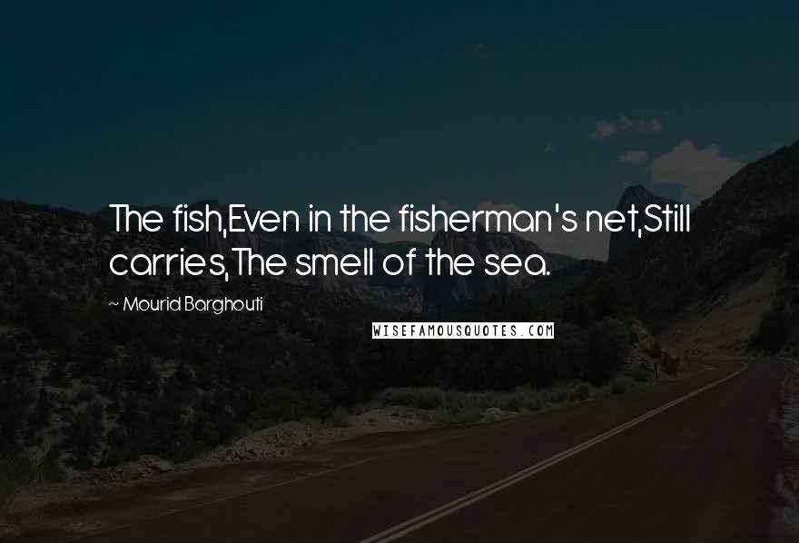 Mourid Barghouti Quotes: The fish,Even in the fisherman's net,Still carries,The smell of the sea.