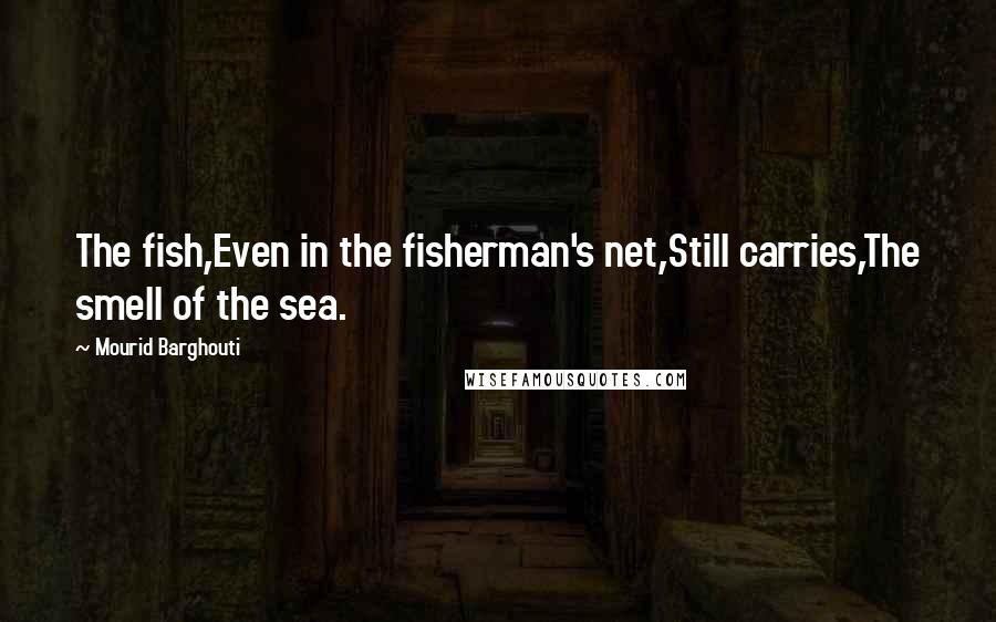 Mourid Barghouti Quotes: The fish,Even in the fisherman's net,Still carries,The smell of the sea.