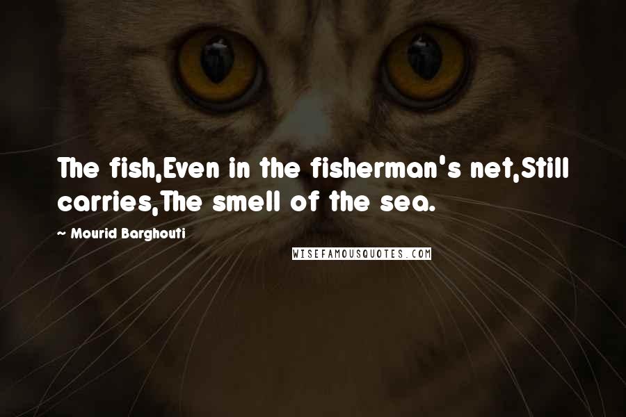 Mourid Barghouti Quotes: The fish,Even in the fisherman's net,Still carries,The smell of the sea.