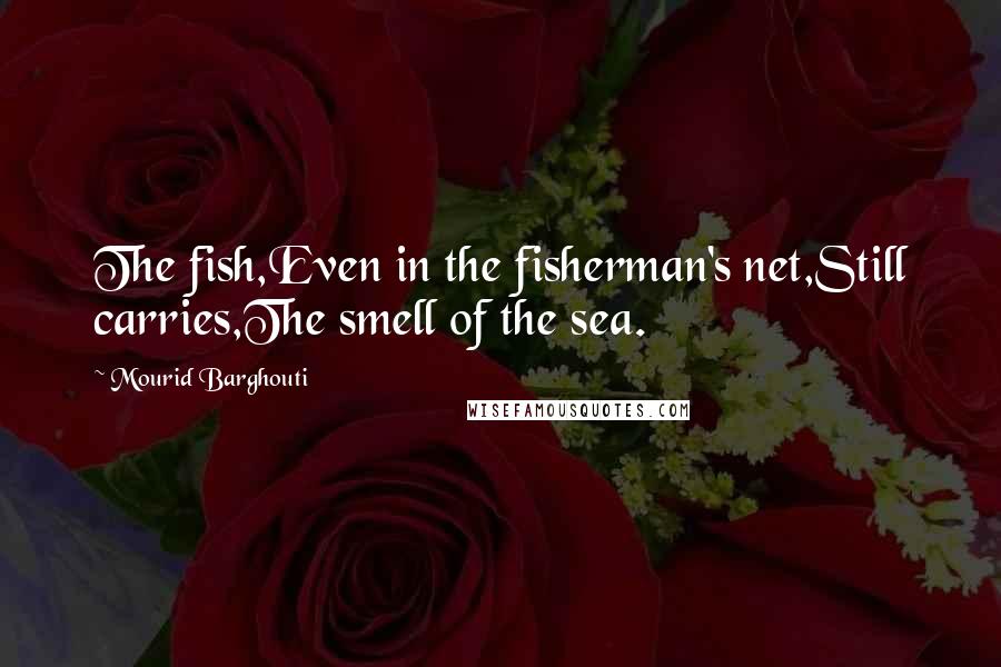 Mourid Barghouti Quotes: The fish,Even in the fisherman's net,Still carries,The smell of the sea.