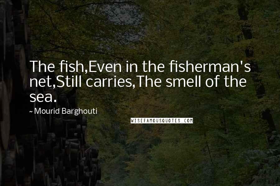 Mourid Barghouti Quotes: The fish,Even in the fisherman's net,Still carries,The smell of the sea.