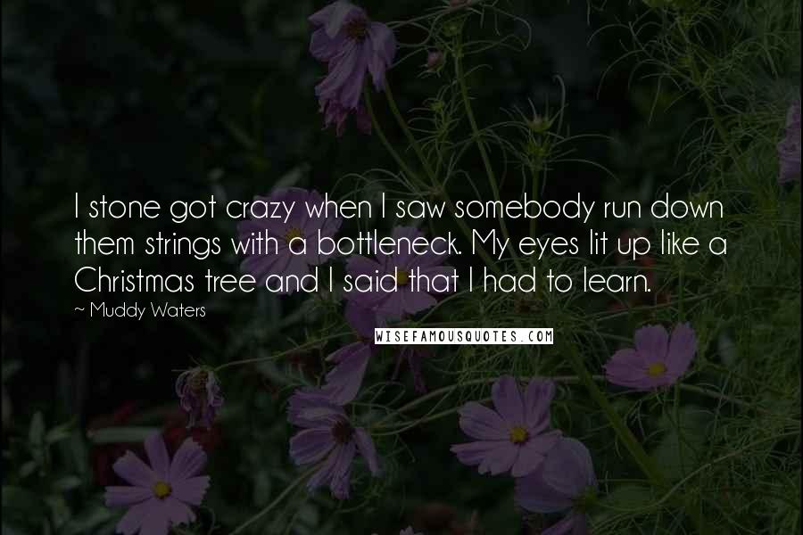 Muddy Waters Quotes: I stone got crazy when I saw somebody run down them strings with a bottleneck. My eyes lit up like a Christmas tree and I said that I had to learn.