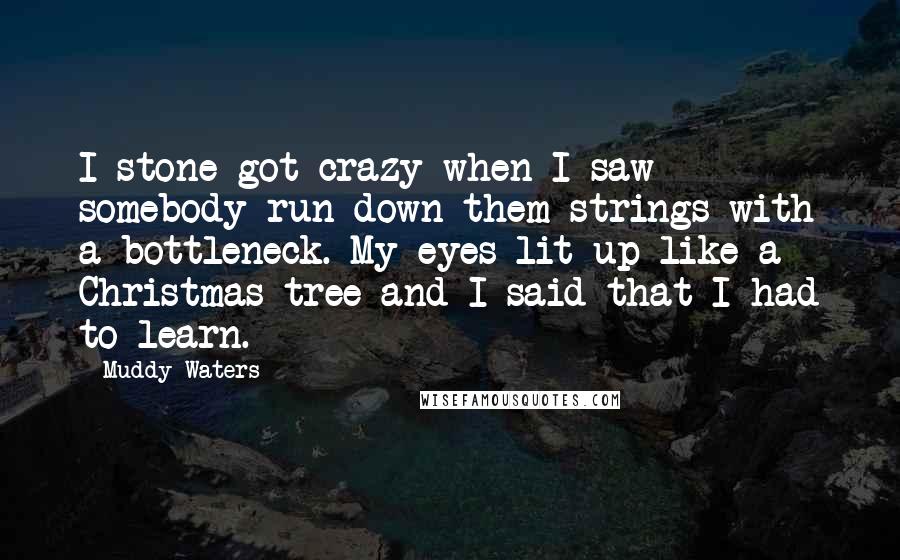 Muddy Waters Quotes: I stone got crazy when I saw somebody run down them strings with a bottleneck. My eyes lit up like a Christmas tree and I said that I had to learn.