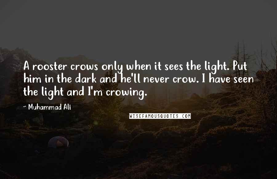 Muhammad Ali Quotes: A rooster crows only when it sees the light. Put him in the dark and he'll never crow. I have seen the light and I'm crowing.