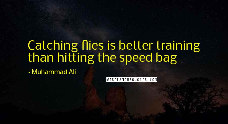 Muhammad Ali Quotes: Catching flies is better training than hitting the speed bag