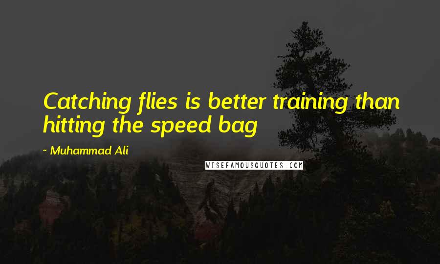 Muhammad Ali Quotes: Catching flies is better training than hitting the speed bag