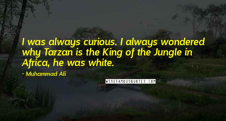 Muhammad Ali Quotes: I was always curious. I always wondered why Tarzan is the King of the Jungle in Africa, he was white.