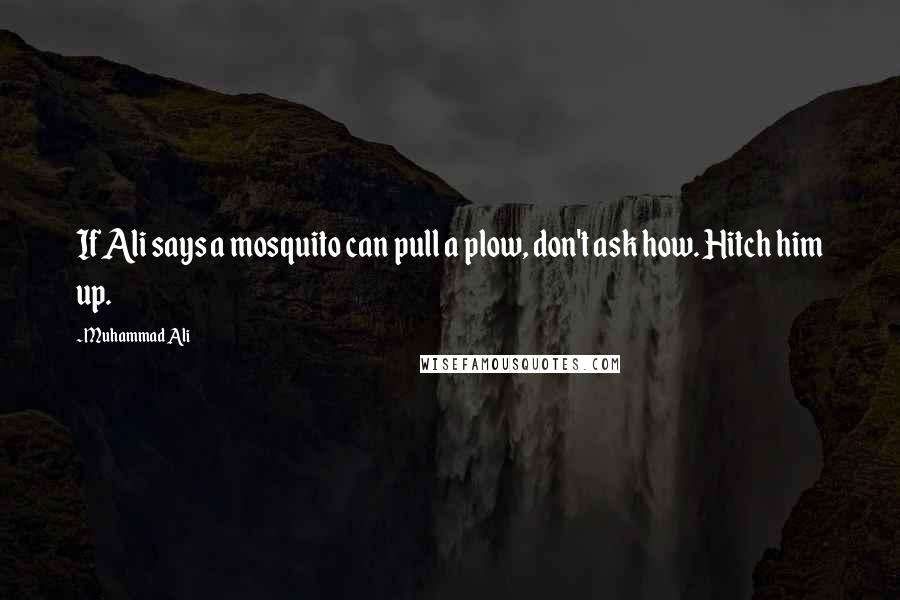 Muhammad Ali Quotes: If Ali says a mosquito can pull a plow, don't ask how. Hitch him up.