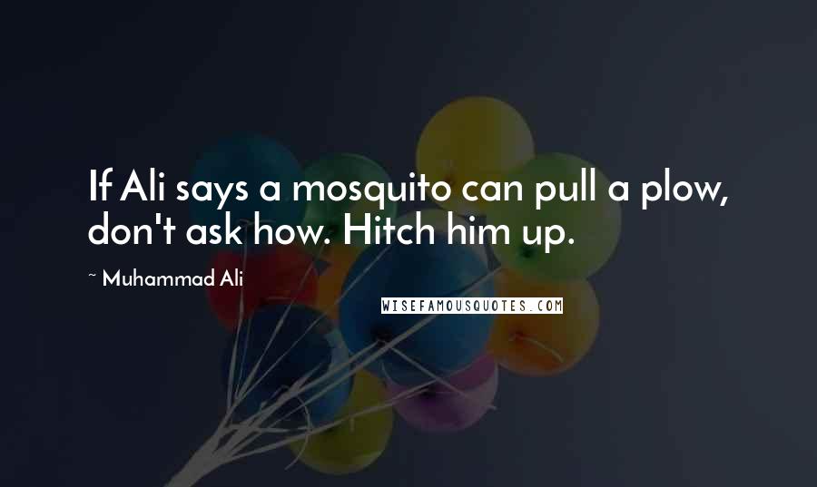 Muhammad Ali Quotes: If Ali says a mosquito can pull a plow, don't ask how. Hitch him up.