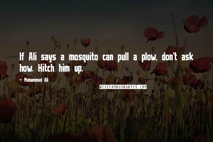 Muhammad Ali Quotes: If Ali says a mosquito can pull a plow, don't ask how. Hitch him up.