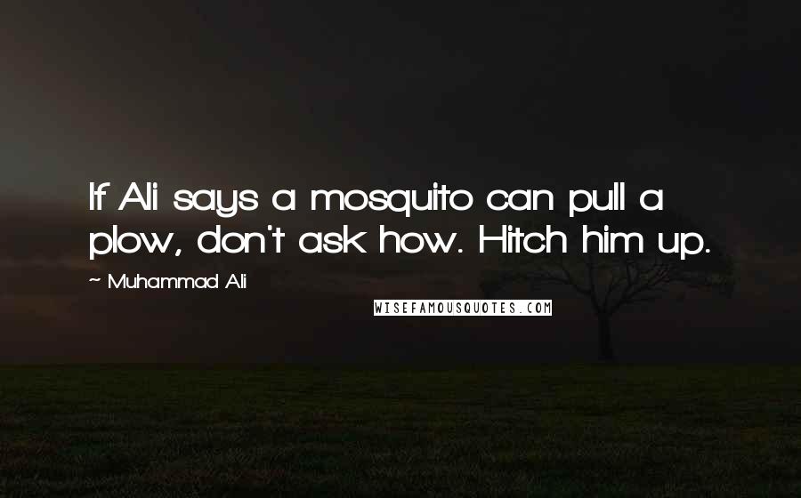 Muhammad Ali Quotes: If Ali says a mosquito can pull a plow, don't ask how. Hitch him up.