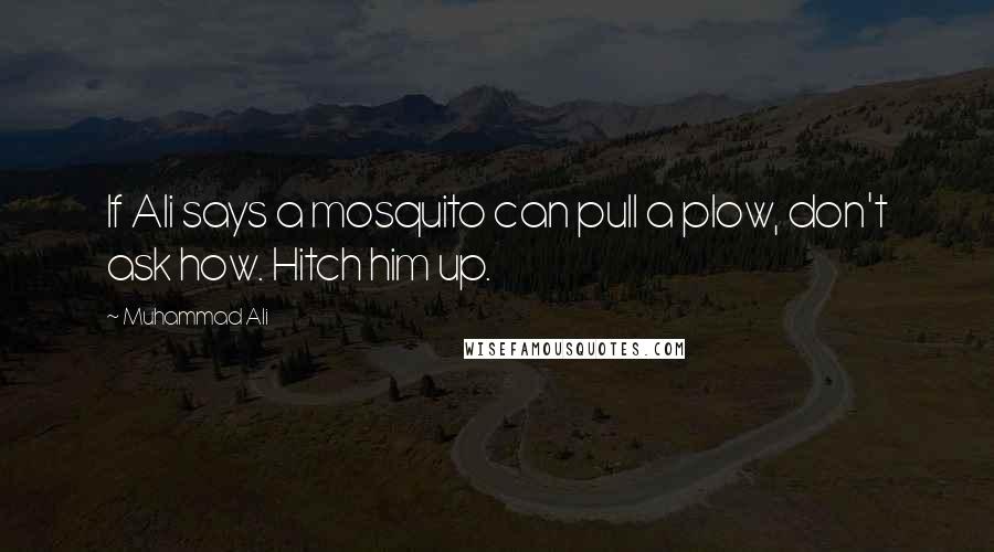 Muhammad Ali Quotes: If Ali says a mosquito can pull a plow, don't ask how. Hitch him up.