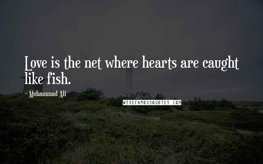 Muhammad Ali Quotes: Love is the net where hearts are caught like fish.