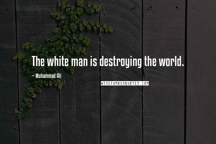 Muhammad Ali Quotes: The white man is destroying the world.