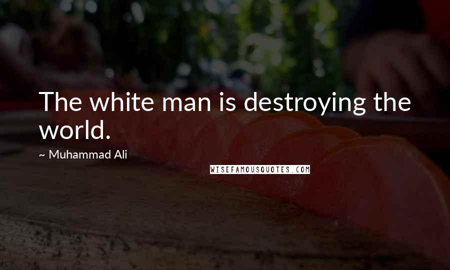 Muhammad Ali Quotes: The white man is destroying the world.