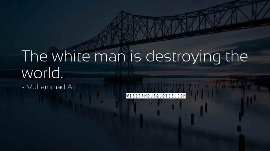 Muhammad Ali Quotes: The white man is destroying the world.