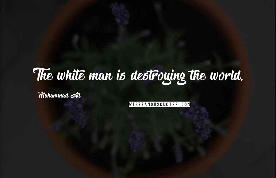 Muhammad Ali Quotes: The white man is destroying the world.