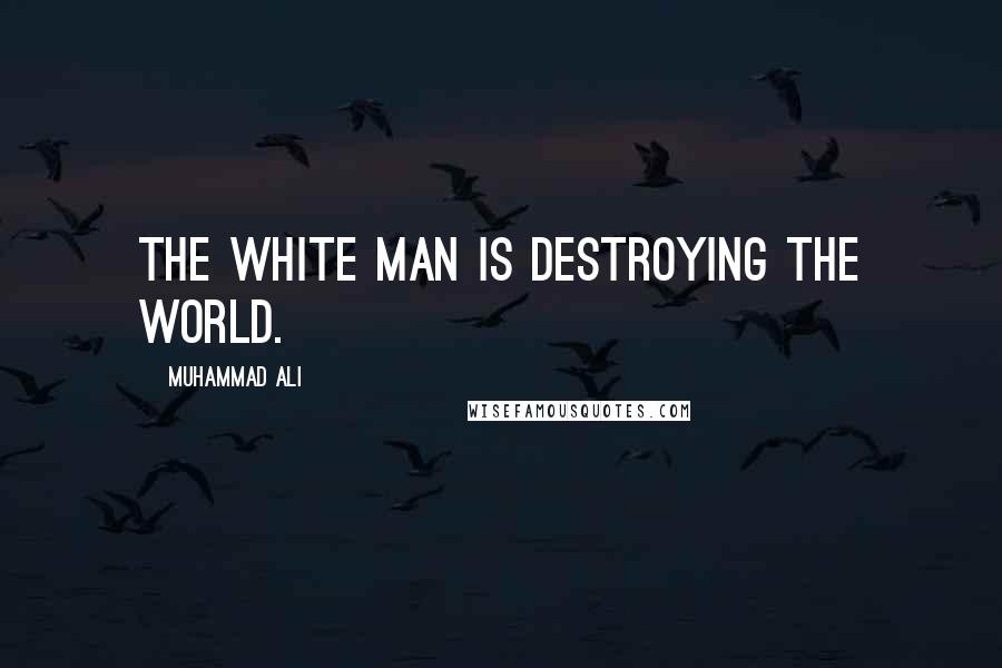 Muhammad Ali Quotes: The white man is destroying the world.