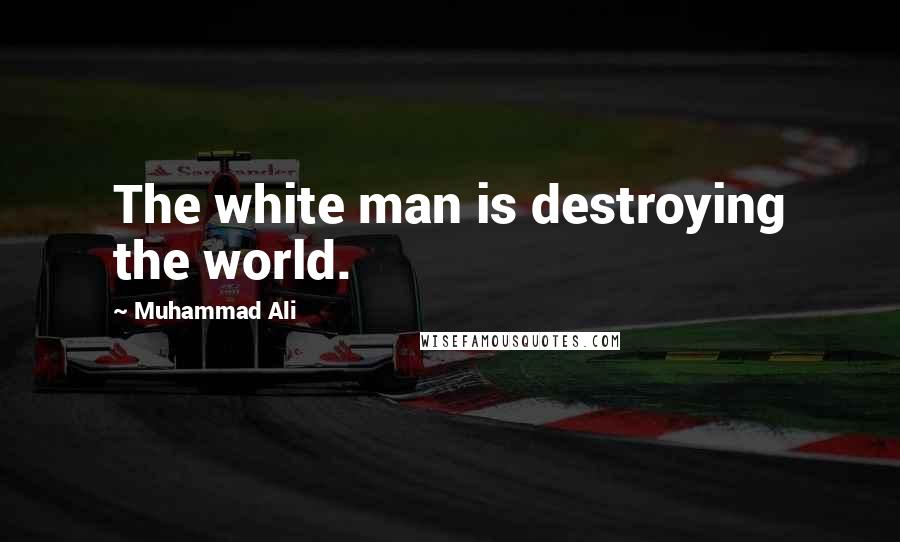 Muhammad Ali Quotes: The white man is destroying the world.