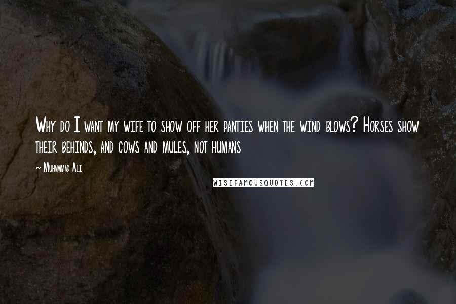 Muhammad Ali Quotes: Why do I want my wife to show off her panties when the wind blows? Horses show their behinds, and cows and mules, not humans