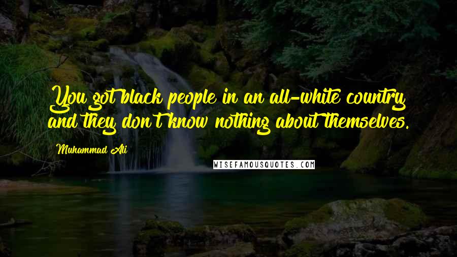 Muhammad Ali Quotes: You got black people in an all-white country and they don't know nothing about themselves.