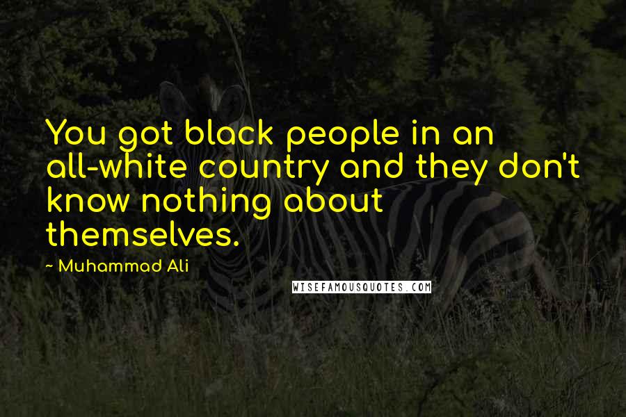 Muhammad Ali Quotes: You got black people in an all-white country and they don't know nothing about themselves.