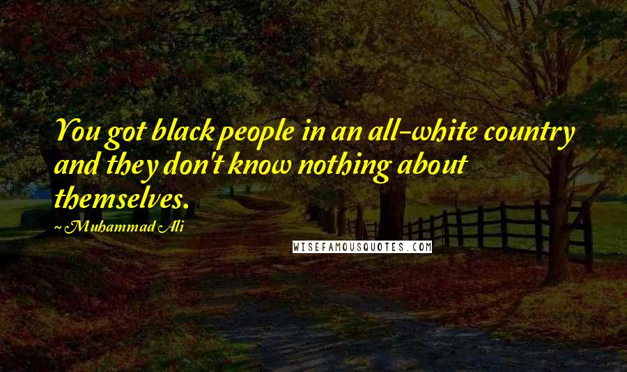 Muhammad Ali Quotes: You got black people in an all-white country and they don't know nothing about themselves.