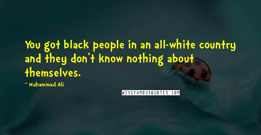 Muhammad Ali Quotes: You got black people in an all-white country and they don't know nothing about themselves.