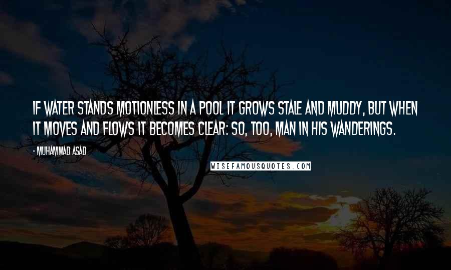 Muhammad Asad Quotes: If water stands motionless in a pool it grows stale and muddy, but when it moves and flows it becomes clear: so, too, man in his wanderings.