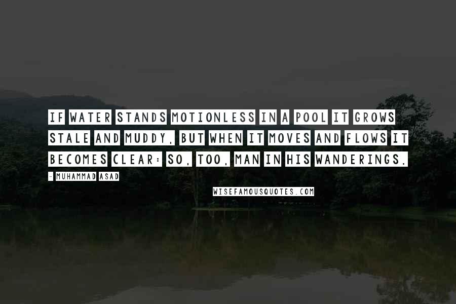 Muhammad Asad Quotes: If water stands motionless in a pool it grows stale and muddy, but when it moves and flows it becomes clear: so, too, man in his wanderings.