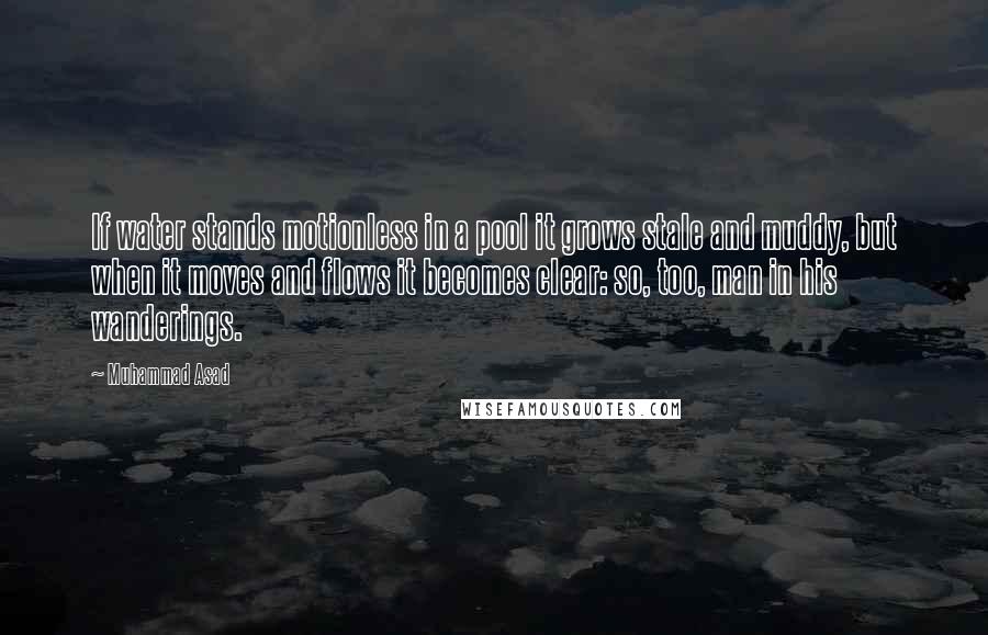 Muhammad Asad Quotes: If water stands motionless in a pool it grows stale and muddy, but when it moves and flows it becomes clear: so, too, man in his wanderings.