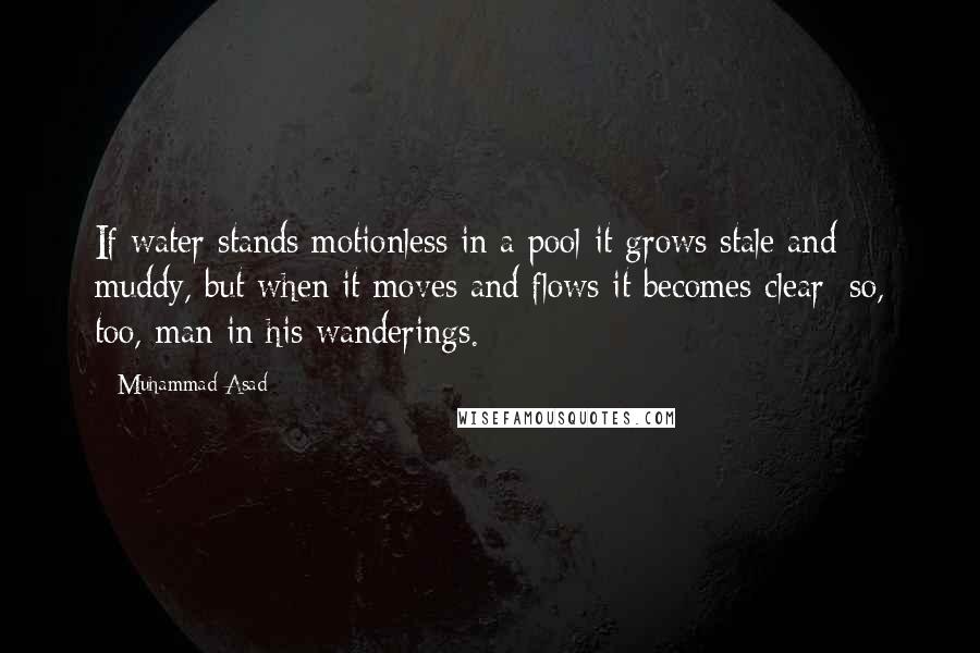 Muhammad Asad Quotes: If water stands motionless in a pool it grows stale and muddy, but when it moves and flows it becomes clear: so, too, man in his wanderings.