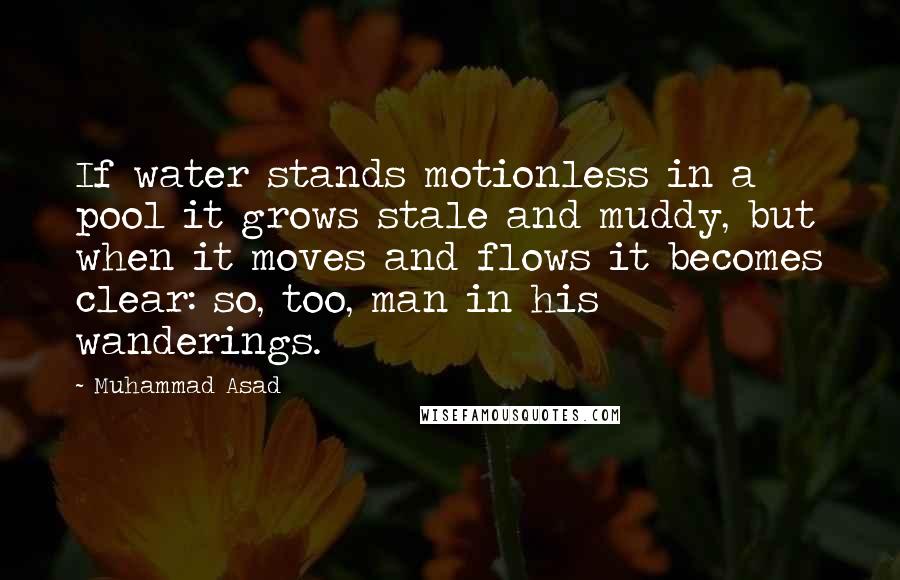 Muhammad Asad Quotes: If water stands motionless in a pool it grows stale and muddy, but when it moves and flows it becomes clear: so, too, man in his wanderings.