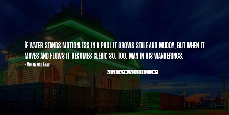 Muhammad Asad Quotes: If water stands motionless in a pool it grows stale and muddy, but when it moves and flows it becomes clear: so, too, man in his wanderings.