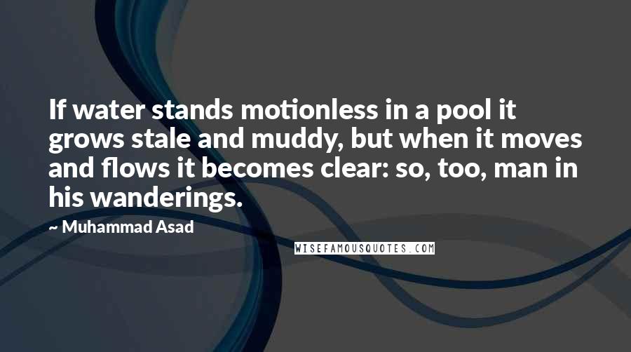 Muhammad Asad Quotes: If water stands motionless in a pool it grows stale and muddy, but when it moves and flows it becomes clear: so, too, man in his wanderings.