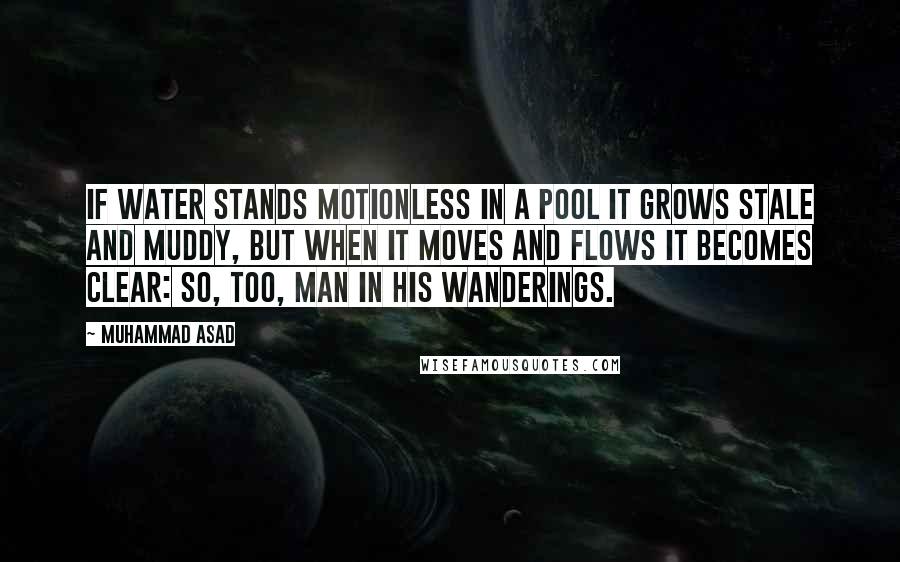 Muhammad Asad Quotes: If water stands motionless in a pool it grows stale and muddy, but when it moves and flows it becomes clear: so, too, man in his wanderings.