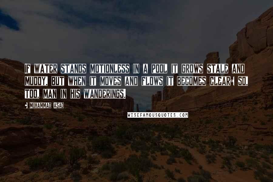 Muhammad Asad Quotes: If water stands motionless in a pool it grows stale and muddy, but when it moves and flows it becomes clear: so, too, man in his wanderings.