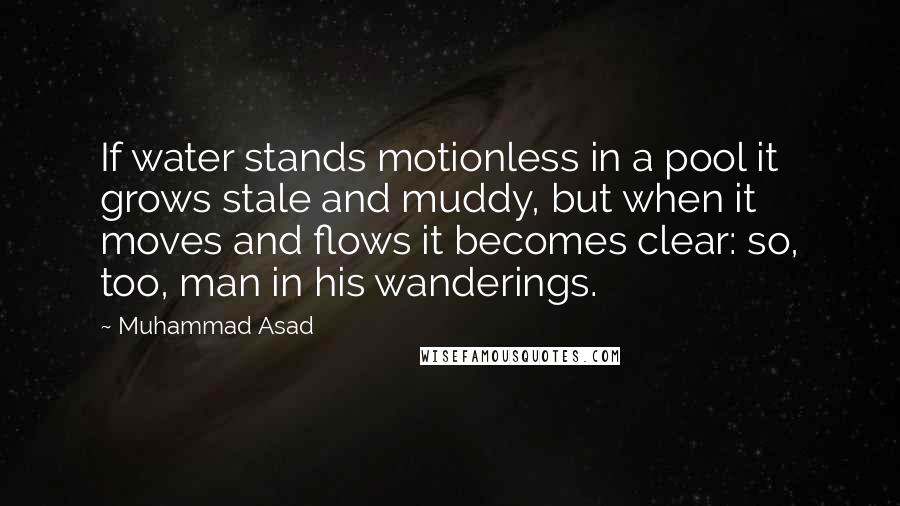 Muhammad Asad Quotes: If water stands motionless in a pool it grows stale and muddy, but when it moves and flows it becomes clear: so, too, man in his wanderings.