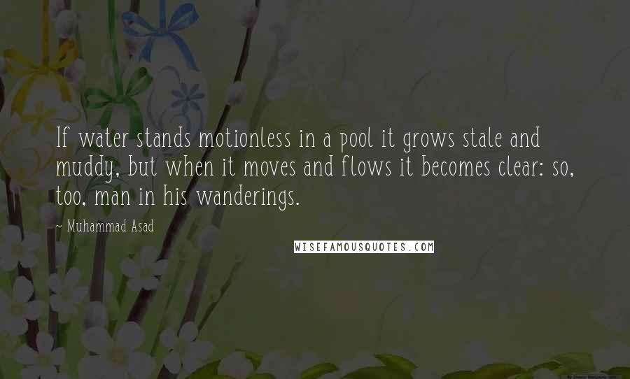 Muhammad Asad Quotes: If water stands motionless in a pool it grows stale and muddy, but when it moves and flows it becomes clear: so, too, man in his wanderings.