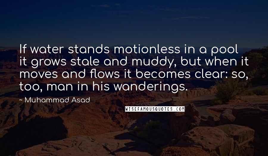 Muhammad Asad Quotes: If water stands motionless in a pool it grows stale and muddy, but when it moves and flows it becomes clear: so, too, man in his wanderings.