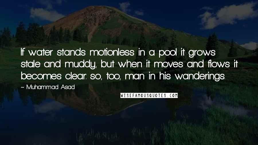 Muhammad Asad Quotes: If water stands motionless in a pool it grows stale and muddy, but when it moves and flows it becomes clear: so, too, man in his wanderings.