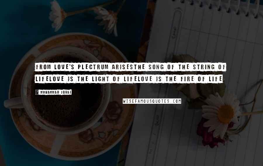 Muhammad Iqbal Quotes: From love's plectrum arisesthe song of the string of lifeLove is the light of lifelove is the fire of life