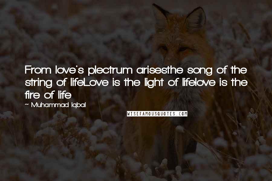 Muhammad Iqbal Quotes: From love's plectrum arisesthe song of the string of lifeLove is the light of lifelove is the fire of life