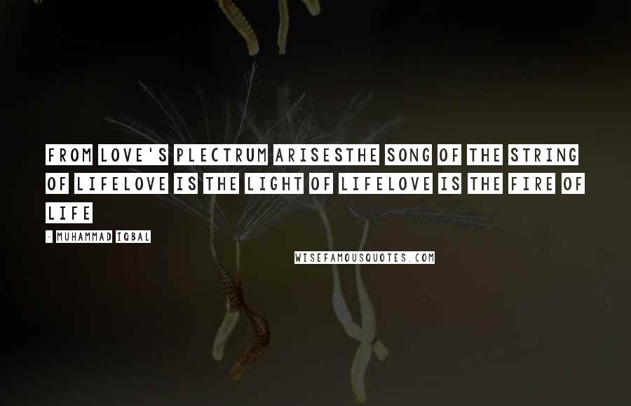 Muhammad Iqbal Quotes: From love's plectrum arisesthe song of the string of lifeLove is the light of lifelove is the fire of life