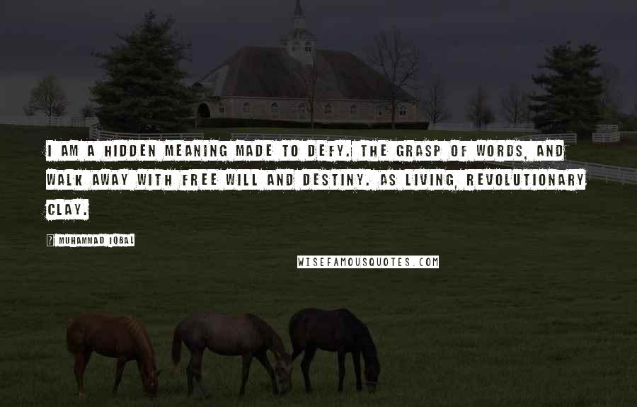 Muhammad Iqbal Quotes: I am a hidden meaning made to defy. The grasp of words, and walk away With free will and destiny. As living, revolutionary clay.